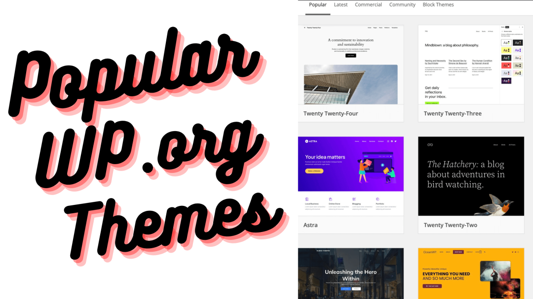 Which WP Theme is Best? Fun With Theme Download Stats