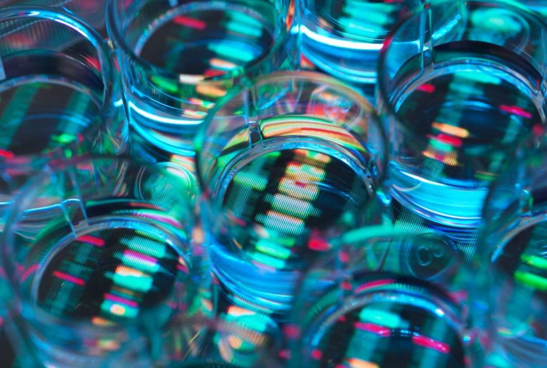 biotech-header.jpg