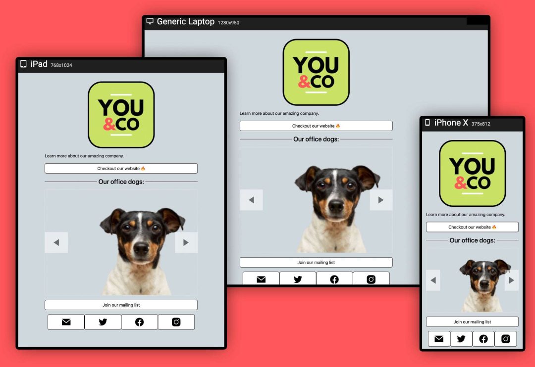 social-link-pages-plugin.jpeg