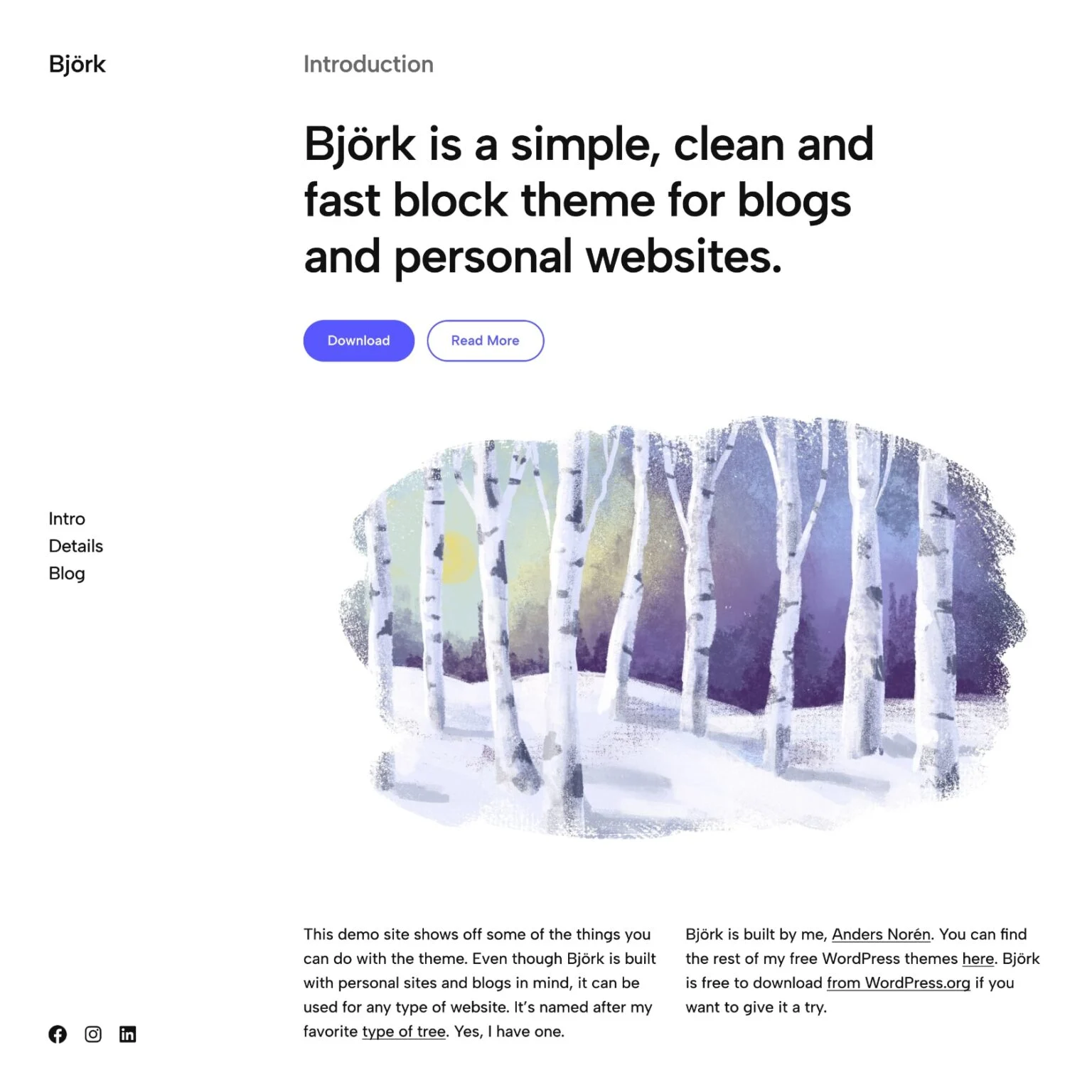 bjork-wordpress-theme-1536x1536-1.webp.webp