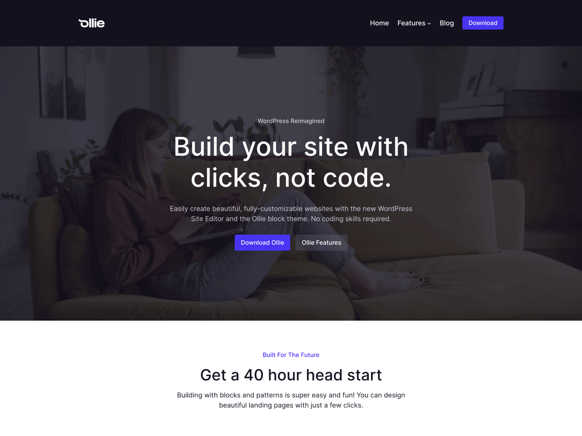 Ollie Theme Faces Pushback from WordPress Theme Review Team